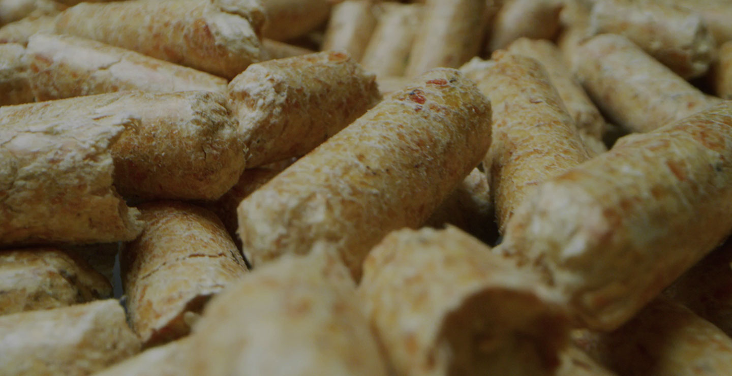 Nahaufnahme einer großen Menge loser, hellbrauner Holzpellets.